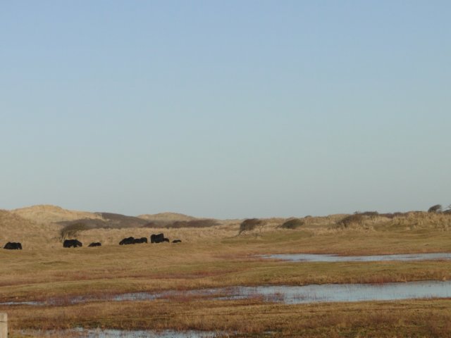 NWK 2010 229.jpg